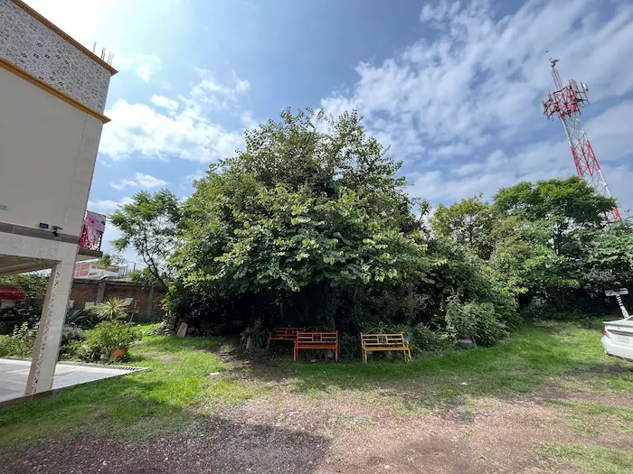 Áreas del Hotel Morenita